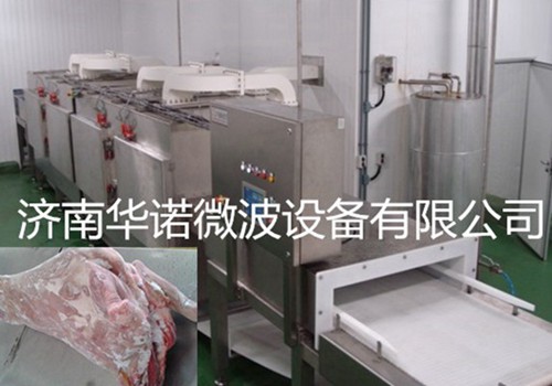 羊肉微波解冻设备
